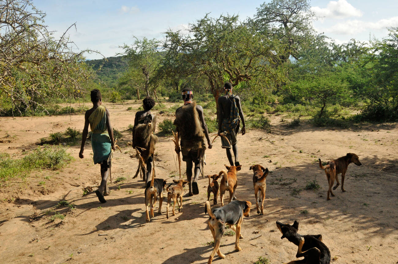 bush hunting